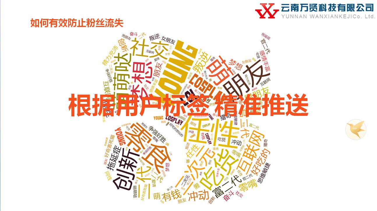 传单码