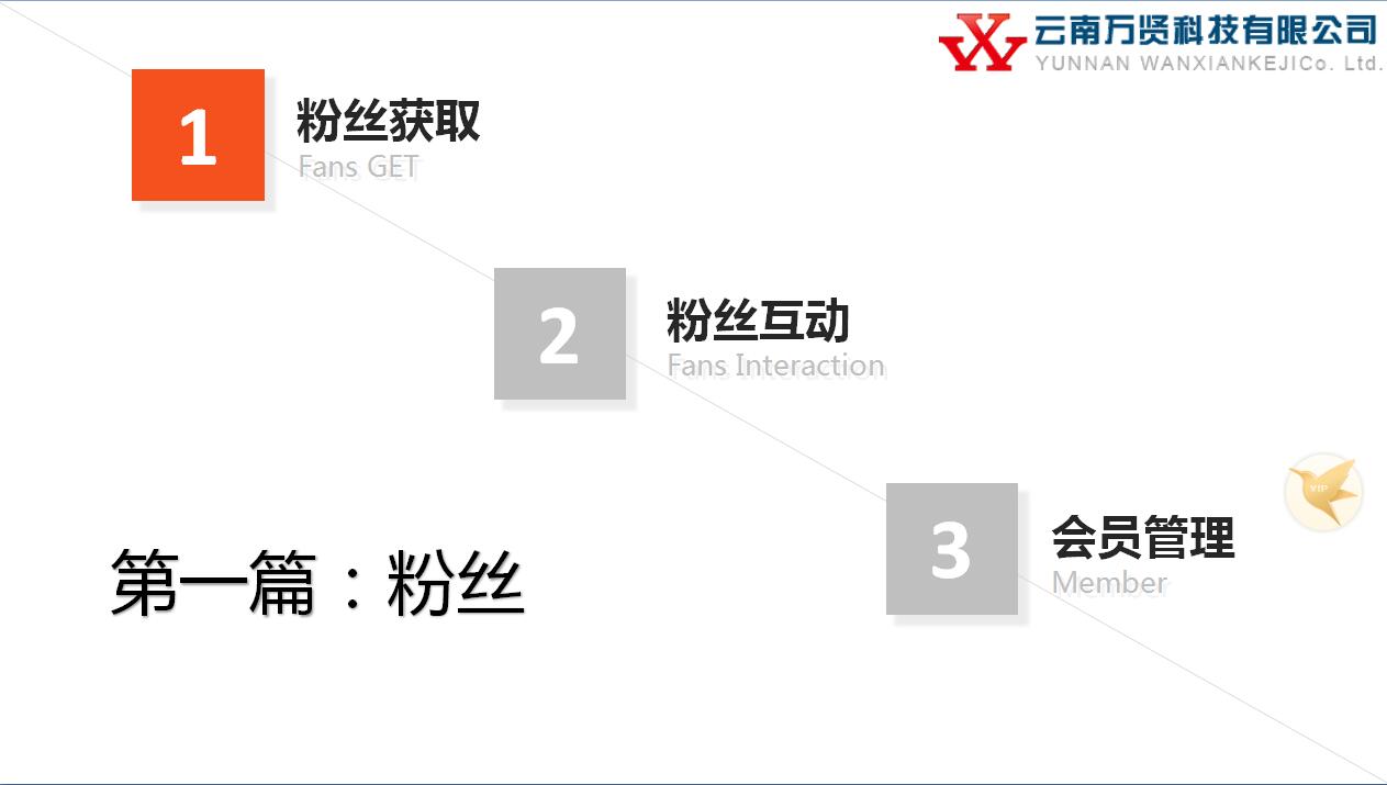 传单码
